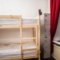 Hotelfotos Kot Begemot