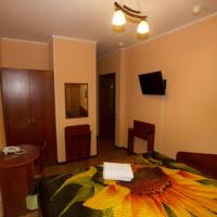 Hotel photos Staraya Derevnya