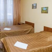 Fotos del hotel Staraya Derevnya