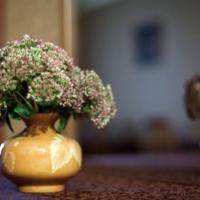 Fotos del hotel Отель Резиденция на Мойке