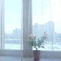Фотографии отеля Apartment Evia