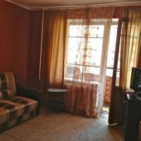 Hotel photos Apartment Pulkovskaya