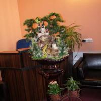 Фотографии отеля Prichal Hotel