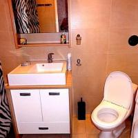 Фотографии отеля Apartment at Prospekt Bolshevikov