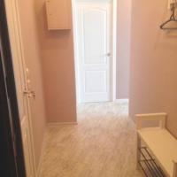 Фотографии отеля Pulkovskaya Apartment