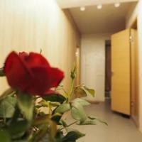 Hotel photos Megapolis Apartments