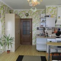 Фотографии отеля Apartment on Pulkovkaya 1