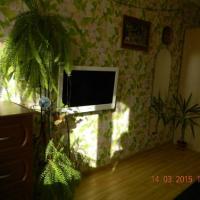 Hotel photos Apartment on Pulkovkaya 1