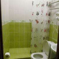 Hotel photos Cats Hotel