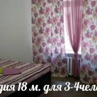 Фотографии отеля Studii Peterburg on Suvorovsky