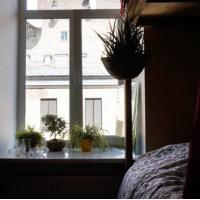 Fotos del hotel Backstage Hostel
