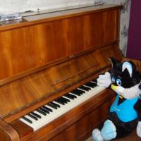 Фотографии отеля Vaskin Dom