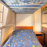 Фотографии отеля Hostel Mishanya