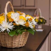 Фотографии отеля Classiky Mini Hotel