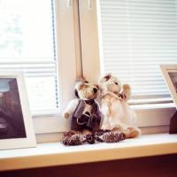 Фотографии отеля Apartment Professora Ivashentsova