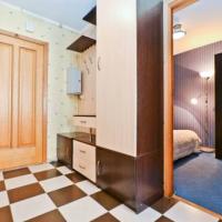 Hotel photos Apartment Pulkovskaya