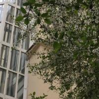 Фотографии отеля Apartment Gorokhovaya 4