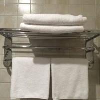 Hotel photos Herzen House