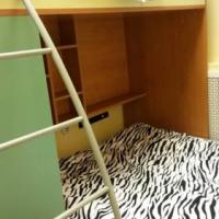 Фотографии отеля Zebra Hostel