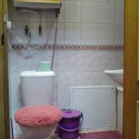 Фотографии отеля Mini-hotel Palitra
