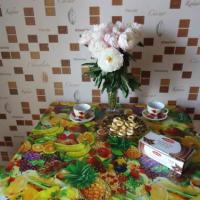 Фотографии отеля Apartment Aviakonstruktorov 2