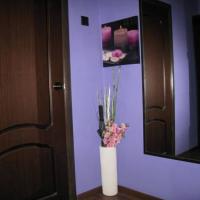 Фотографии отеля Apartment na Prospekt Bolshevikov 3