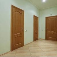 Hotel photos Apartment Sevastyyanovskie