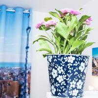 Hotel photos Apartments New Holland