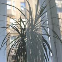 Фотографии отеля Tihaya Paradnaya Na pyati Uglah