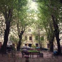 Hotelfotos Star House Guest House
