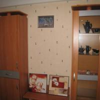 Hotel photos Apartments Na Bryanceva
