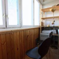 Фотографии отеля Viktoria Apartments On Ladozhskaya