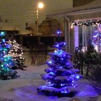 Фотографии отеля Uyutny Cottage in Pargolovo