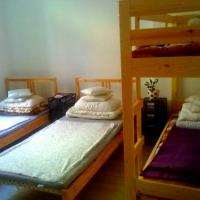 Фотографии отеля One Love Hostel