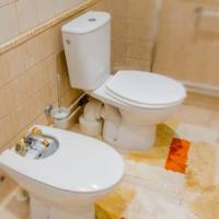 Фотографии отеля Luxury Apartment Zhukovskogo 47