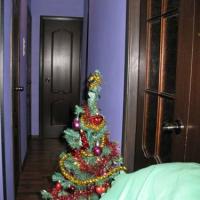 Фотографии отеля Apartment na Prospekt Bolshevikov 3