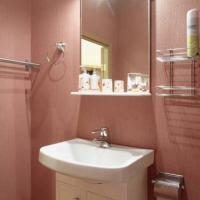 Фотографии отеля Apartment Dzhambula 16
