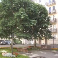 Fotos del hotel Tuchkov 3 Minihotel