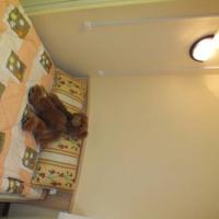 Фотографии отеля Fru Style Hostel