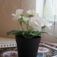 Фотографии отеля Apartment On Belinskogo 5