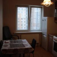 Hotel photos Apartment na Prospekt Nauki