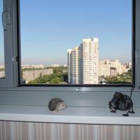 Фотографии отеля Apartment On Prospekt Nauki