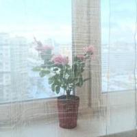 Hotel photos Studio Evia