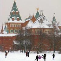 Hotel photos Kolomenskoye