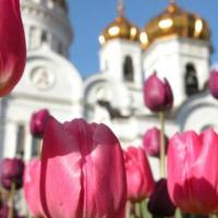 Hotel photos Week-long Two Capitals of Russia