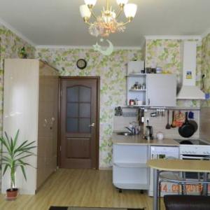 Фотографии отеля Apartment on Pulkovkaya 1