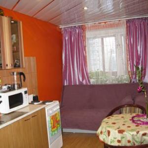 Фотографии отеля Apartment na Prospekt Bolshevikov 3