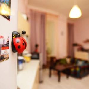 Hotel photos Guesthouse Noviy-Vishneviy