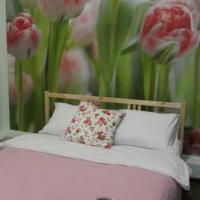 Фотографии отеля Angel Court Yard