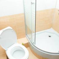 Фотографии отеля Lilya Brik Hotel